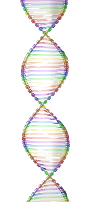 DNA Reactivation Level III: DNA Reactivation